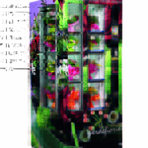 Bloemenautomaten